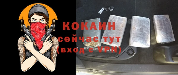 меф Дмитриев