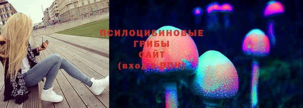 дмт Гусев