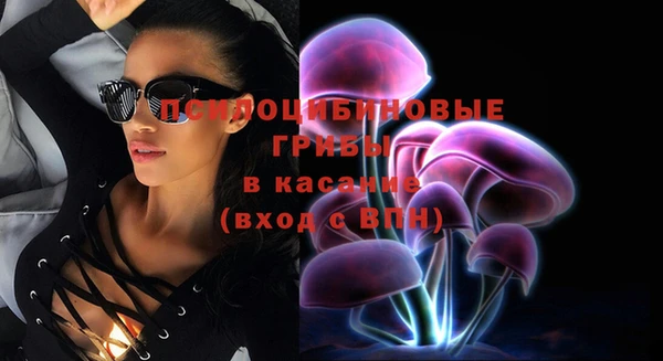 герыч Гусь-Хрустальный