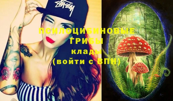 дмт Гусев
