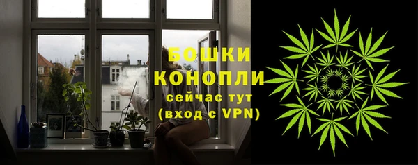 индика Гусиноозёрск