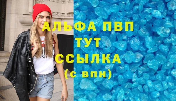 индика Гусиноозёрск
