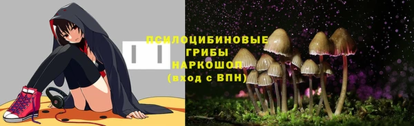герыч Гусь-Хрустальный