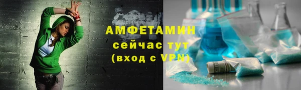 индика Гусиноозёрск