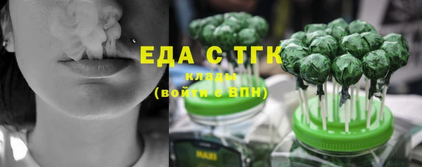 индика Гусиноозёрск