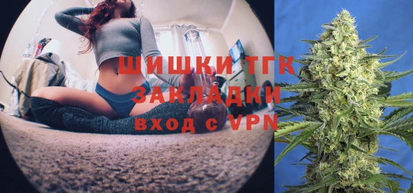 индика Гусиноозёрск