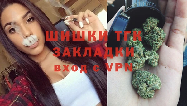 дмт Гусев