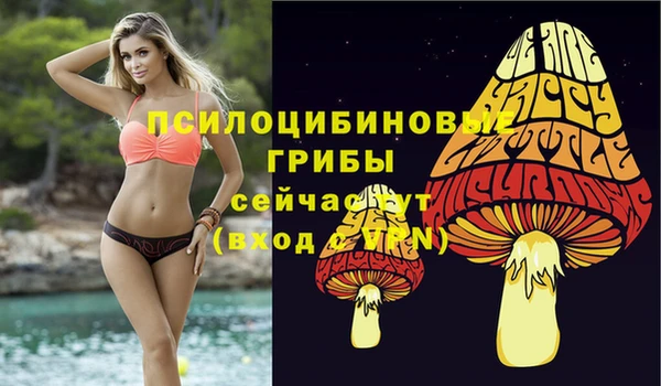 дмт Гусев