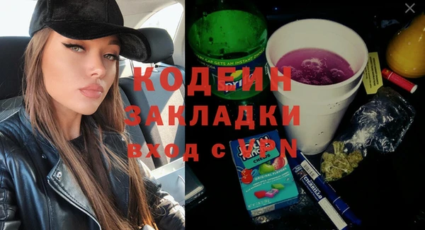 индика Гусиноозёрск