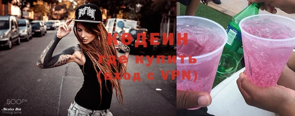 дмт Гусев