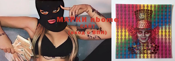 индика Гусиноозёрск
